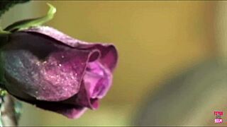 Smoking Hot Heels Lady Fingers Pussy Before Deepthroat Boinking!