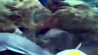 Recap of that wild Mexico trip where we ripped clothes off this hot Mexican babe