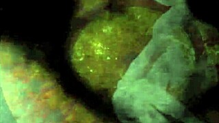 vintage erotic art showcases antique cartoon passion boldly