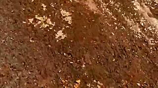 novinha fresh from school bends over for pedreiro cock outdoors 😏🍆