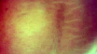 Curvy Latina's Daring Public Dick Ride