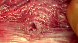 horny homemade slut gets fucked hard until squirting wet pussy