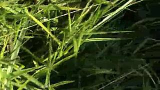 novinha horny for outdoor fuck rides cock deep in the wild