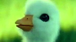 Interviewing commentators part 2 features patito shitpost and soygaulex