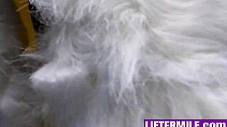 Milf hops on my lap stroking cock before wild office pounding! Liftermilf delivers!