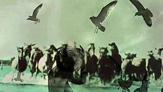 Hey discover retro women bent over for wild doggystyle hairy pussy action