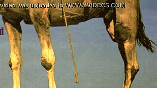 Hey discover retro women bent over for wild doggystyle hairy pussy action