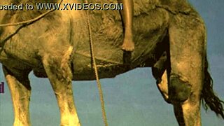 Hey discover retro women bent over for wild doggystyle hairy pussy action