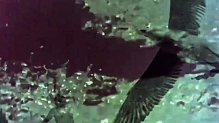 Hey discover retro women bent over for wild doggystyle hairy pussy action