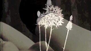 Hey discover retro women bent over for wild doggystyle hairy pussy action