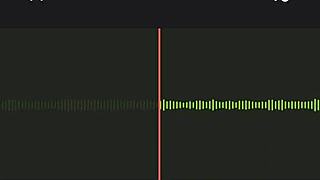 spying on argentinian neighbor's loud screams next door