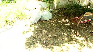 beautiful red milf zoey nixon rides huge black cock anal to facial cumshot