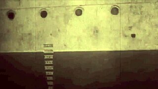 Vintage erotic art reveals antique hairy beaver in retro passion