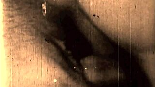 Vintage erotic art reveals antique hairy beaver in retro passion