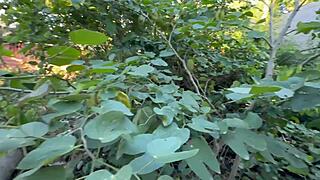 redhead big ass pounded deep in forest