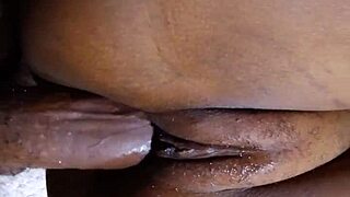 skinny teen splits wide for intriguing doggy adventure