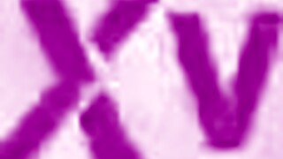 Ed Junior and Vinny Star Stretch Camila Cooper's Holes Wide in Epic DP Action