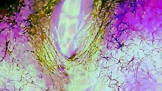 Ever wonder how this ebony babe rubs her pussy to wild orgasm?