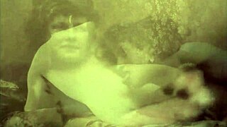 Hey, group sex back then versus now—who fucked better in hairy orgies?