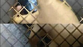 fuck yeah glamour lesbians lick pussies scissor and strap on hard!