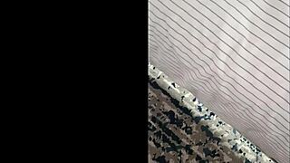 She gets framed in a steamy interracial creampie trap