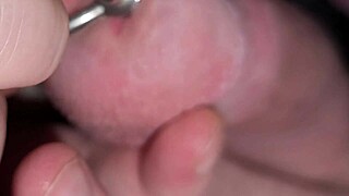 Cbt Sounding Ball Busting Bondage Destroys Tiny Penis Peehole by Wife Jayq