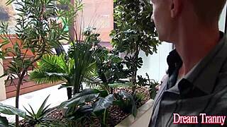 tranny valerya, pay you guys to bareback pound my ass?