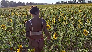 damiana flashes curvy brazilian ass in sunflower field before public transando