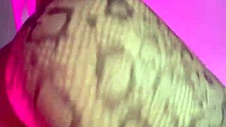 Huge cock pounding screaming ebony latina pussy till creamy