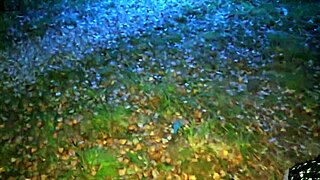 FAT Girl Obeys on Village Swings for Mouth and Huge Ass Fuck with Cum on Big Tits