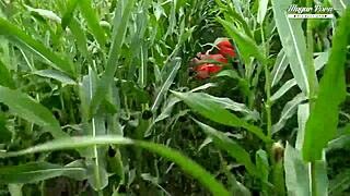 What Happens When Escaped Prisoner Meets Blonde Stepsis In Prison?