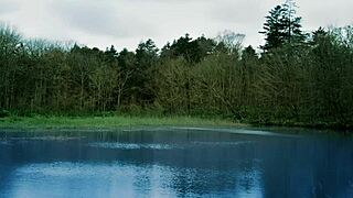 Wakasagi Hime Cosplay Lays Eggs In Japanese Oviposition Av Pilot