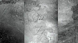 vintage lesbians dive deep into hairy beavers licking muffs in retro threesome action