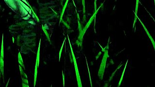 WHOA! RESIDENT EVIL GIANTESS BELLY BLOWS UP HUGE AND MONSTROUS!