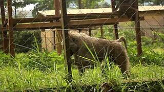 Huge cock ravages tight ass publicly in tourist park