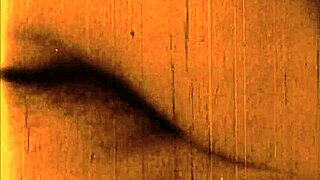 ever seen a vintage hairy beaver in retro erotic pose?