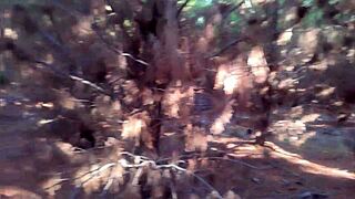 Curvy BBW's outdoor forest romp teases with her massive jiggling curves