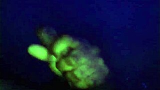 mi sis's bf had so much leche i swallowed every drop mouthful cum