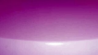 gretala makes noisy sounds from the toilet