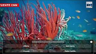 hey man, you gotta try pedro castillo's thick ass anal pounding