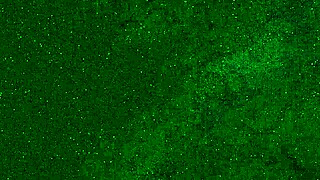 18yo kinks out peeing panties on public beach then squirts sunbathing