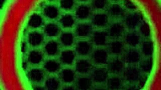 sassy milf natalia starr strips lingerie revealing big tits and pussy