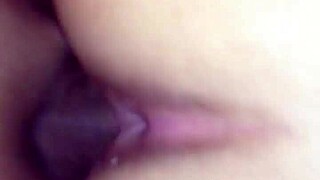 Thick Latina BBW bent over taking hardcore doggystyle pounding