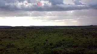 essa novinha sabe chupar e cavalgar essa rola enorme olha o orgasmo dela no outdoor