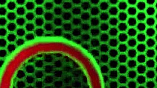 Samantha spreads her legs showing big pussy lips