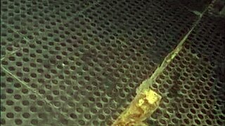 Corno Watches Wife Fuck Strangers Cinema Gloryholes