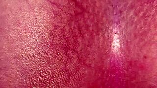 colombiana sabrinafoxy begs daily anal creampie for her needy asshole