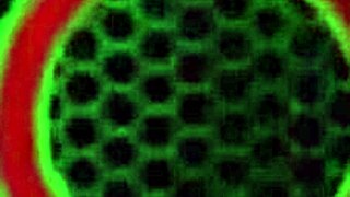 holy shit sara jay's fishnet milf pussy gets wrecked by roberto's monster!