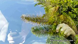 Cuckold BF Watches GF Devour New Lover's Massive BBC