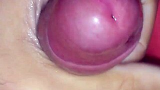 my cock throbs creamy and so damn excited right now